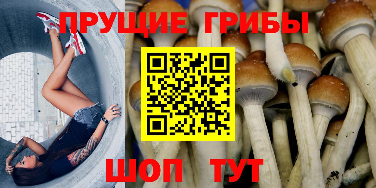 Галлюциногенные грибы прущие грибы Феодосия